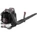 Racing PBB75 Petrol Backpack Blower 